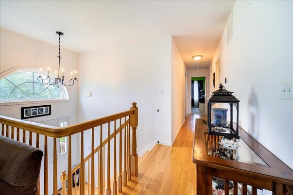 Chandelier, Interior, Wood Texture Flooring