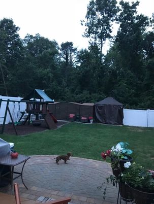 Backyard, Exterior, Playground