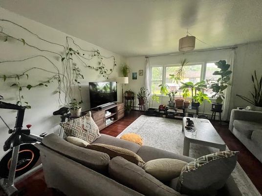 Interior, Living room, Wood Texture Flooring
