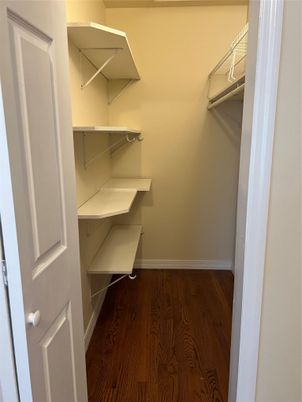 Interior, Walk-in Closets, Wood Texture Flooring