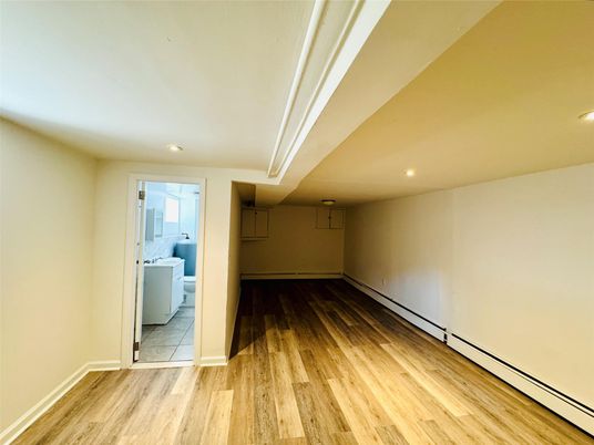 Interior, Recessed Lighting, Washer, Wood Texture Flooring