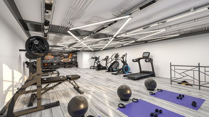Fitness Equipment, Interior, Wood Texture Flooring