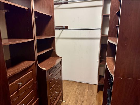 Interior, Walk-in Closets, Wood Texture Flooring
