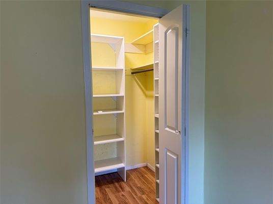 Interior, Walk-in Closets, Wood Texture Flooring