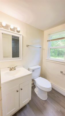 Bathroom, Interior, Wood Texture Flooring
