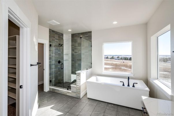 Bathroom, Free Standing Baths, Glass Shower, Interior, Recessed Lighting