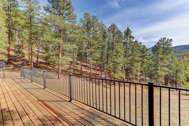 Exterior, Wood Texture Flooring