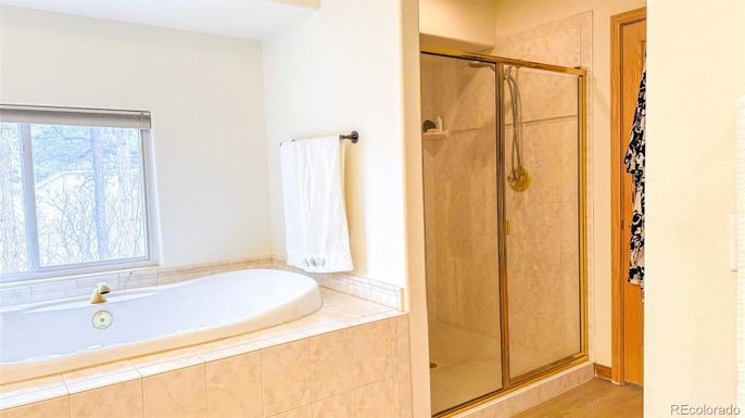 Bathroom, Glass Shower, Interior, Wood Texture Flooring