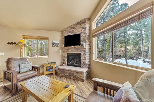 Fireplace, Interior, Stone Walls, Wood Texture Flooring