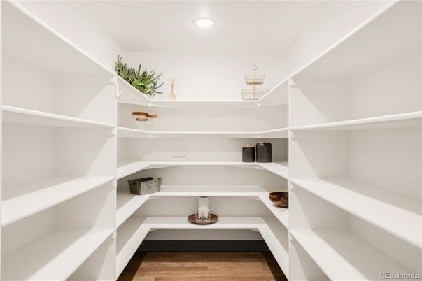 Interior, Recessed Lighting, Walk-in Closets, Wood Texture Flooring