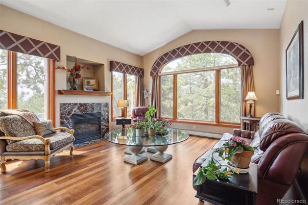 Fireplace, Interior, Wood Texture Flooring