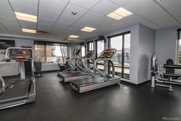 Fitness Equipment, Gym, Interior, Recessed Lighting