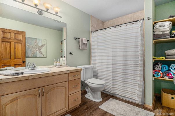 Bathroom, Interior, Wood Texture Flooring