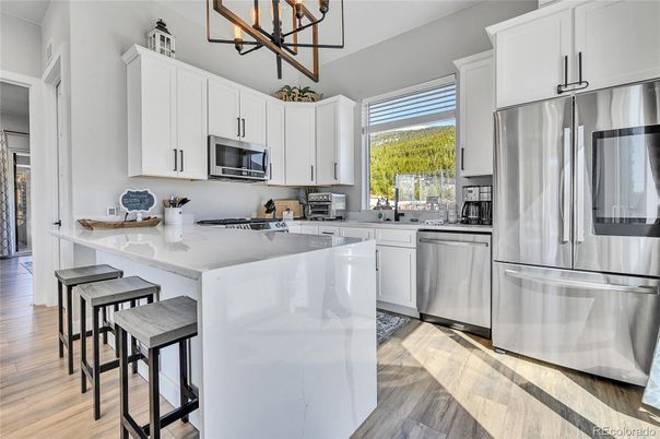 Interior, Kitchen, Stainless Steel Appliances, Wood Texture Flooring