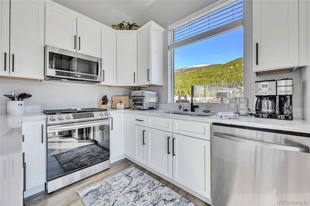Interior, Kitchen, Stainless Steel Appliances, Wood Texture Flooring