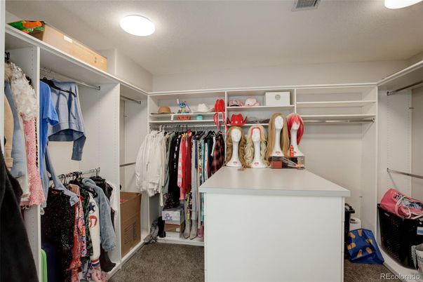 Interior, Recessed Lighting, Walk-in Closets