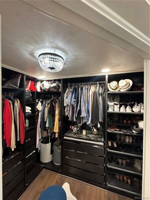 Interior, Walk-in Closets, Wood Texture Flooring
