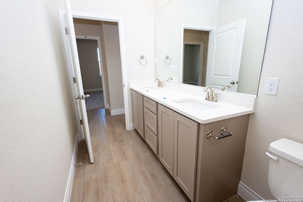 Bathroom, Dual Sink Vanities, Interior, Wood Texture Flooring