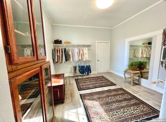 Interior, Walk-in Closets, Wood Texture Flooring