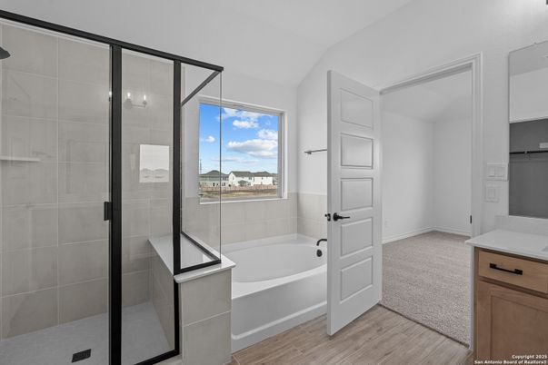 Bathroom, Glass Shower, Interior, Wood Texture Flooring