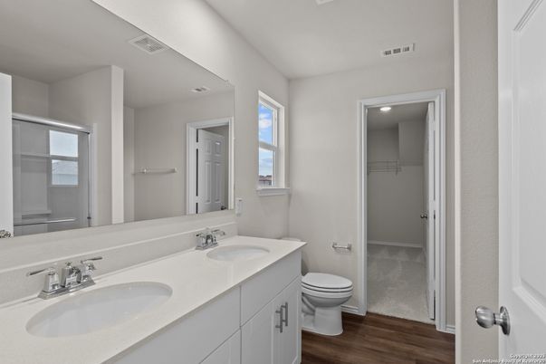 Bathroom, Dual Sink Vanities, Interior, Wood Texture Flooring