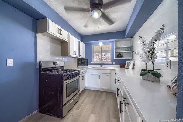 Interior, Kitchen, Wood Texture Flooring