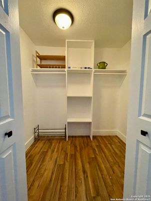 Interior, Walk-in Closets, Wood Texture Flooring