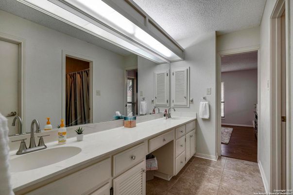 Bathroom, Dual Sink Vanities, Interior, Wood Texture Flooring