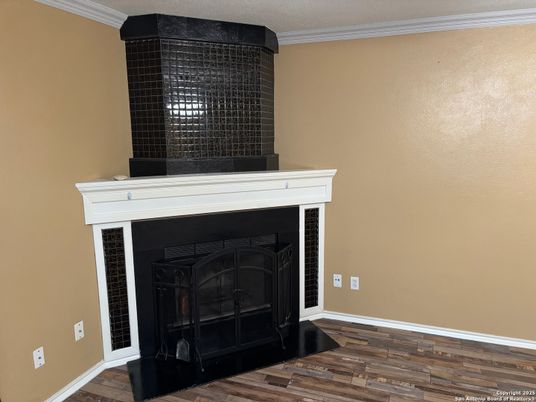 Fireplace, Interior, Wood Texture Flooring