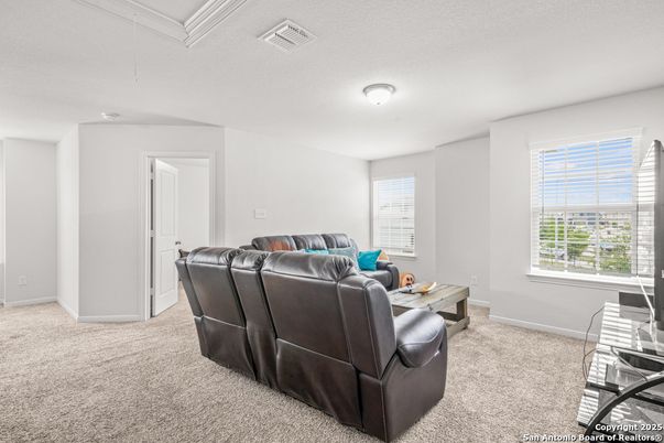 Home Theatre Room, Interior, Living room