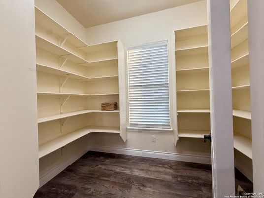 Interior, Walk-in Closets, Wood Texture Flooring