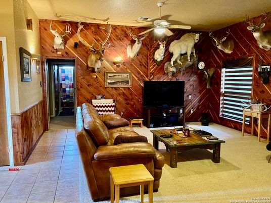 Interior, Living room, Wooden Walls