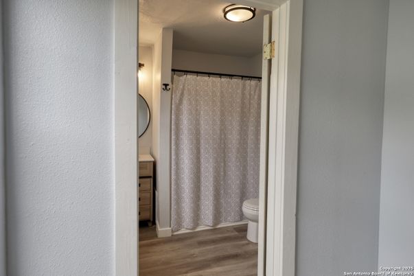 Bathroom, Interior, Wood Texture Flooring