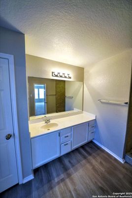 Bathroom, Dual Sink Vanities, Interior, Wood Texture Flooring