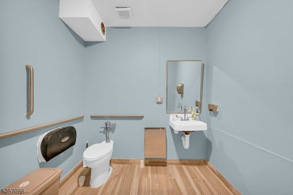 Bathroom, Interior, Wood Texture Flooring