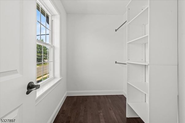 Interior, Walk-in Closets, Wood Texture Flooring