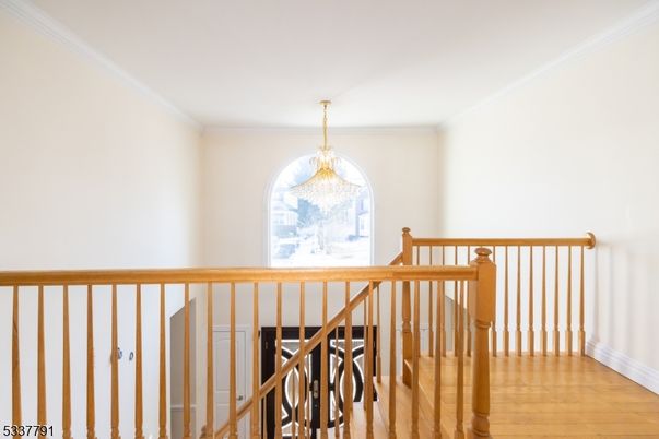 Chandelier, Interior, Wood Texture Flooring
