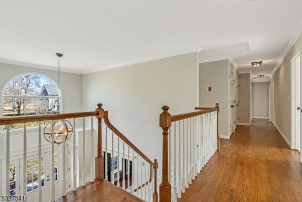 Chandelier, Interior, Wood Texture Flooring