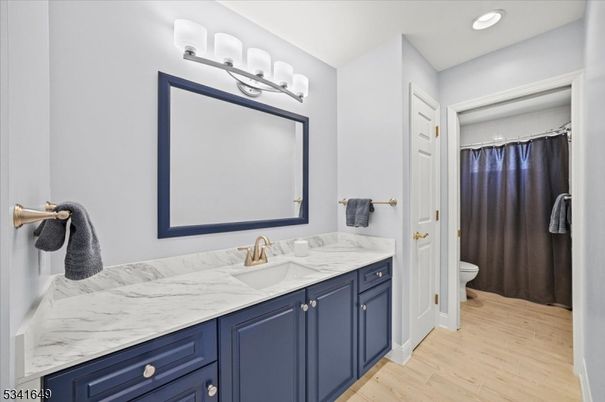 Bathroom, Interior, Recessed Lighting, Wood Texture Flooring