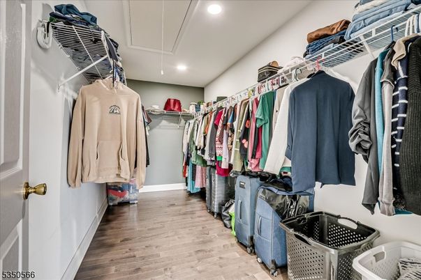 Interior, Recessed Lighting, Walk-in Closets, Wood Texture Flooring