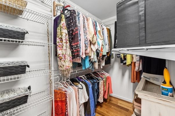 Interior, Walk-in Closets, Wood Texture Flooring