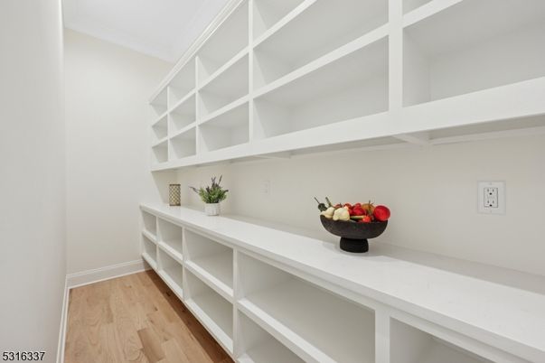 Interior, Walk-in Closets, Wood Texture Flooring