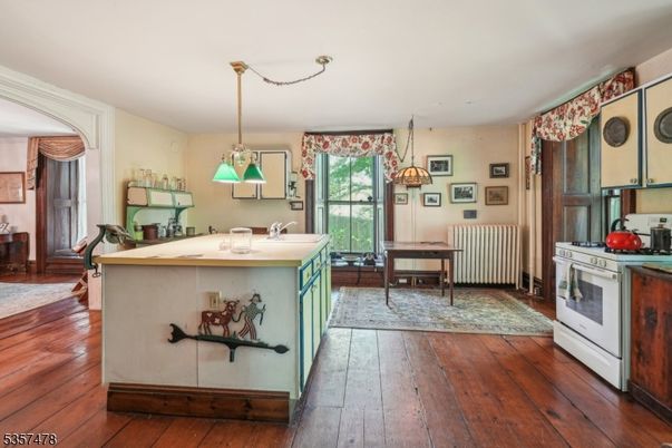 Dining room, Interior, Kitchen, Pendant Lights, Wood Texture Flooring