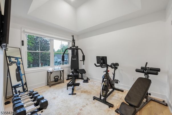 Fitness Equipment, Interior, Recessed Lighting, Wood Texture Flooring