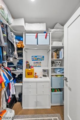 Interior, Walk-in Closets, Wood Texture Flooring