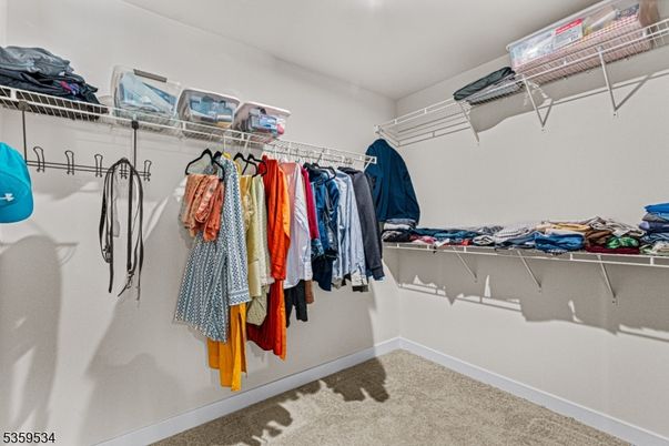 Interior, Walk-in Closets