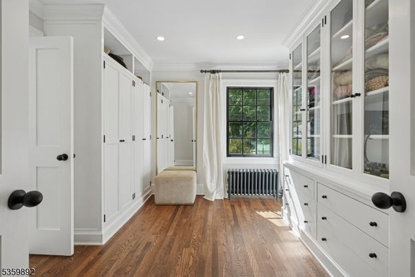 Interior, Recessed Lighting, Walk-in Closets, Wood Texture Flooring