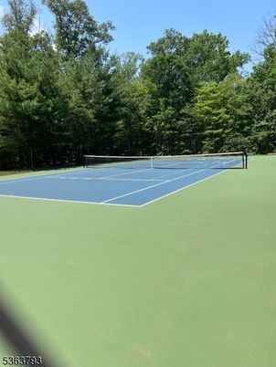 Exterior, Tennis Courts