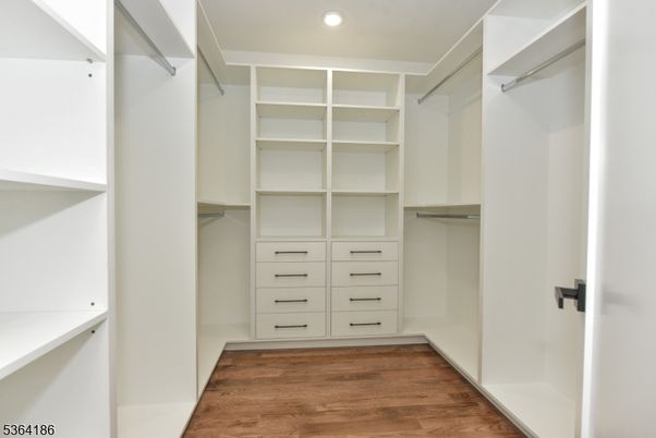 Interior, Recessed Lighting, Walk-in Closets, Wood Texture Flooring