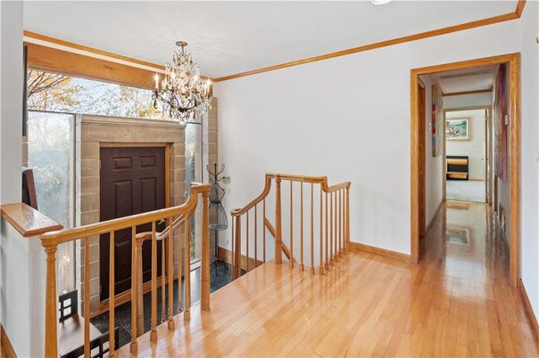 Chandelier, Interior, Wood Texture Flooring